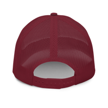 Load image into Gallery viewer, Dgo Durango Alacran - Durango Scorpion Trucker Cap