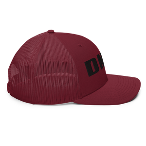 DENVER COLORADO  - DNVR  Trucker Cap